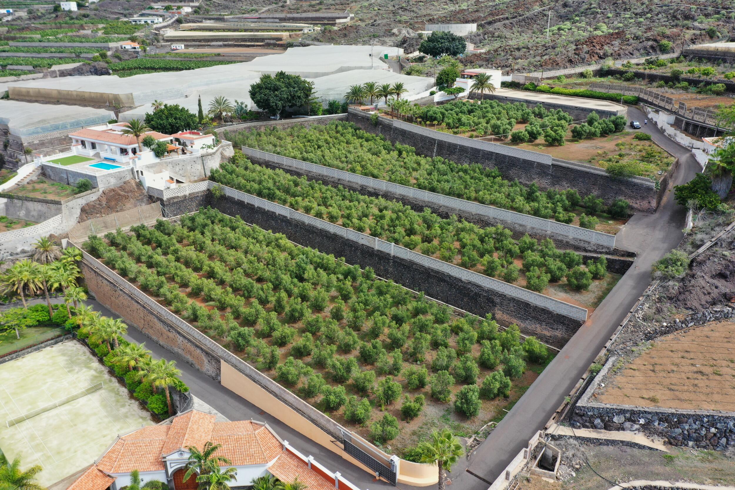 Finca La Caldera — 4/12