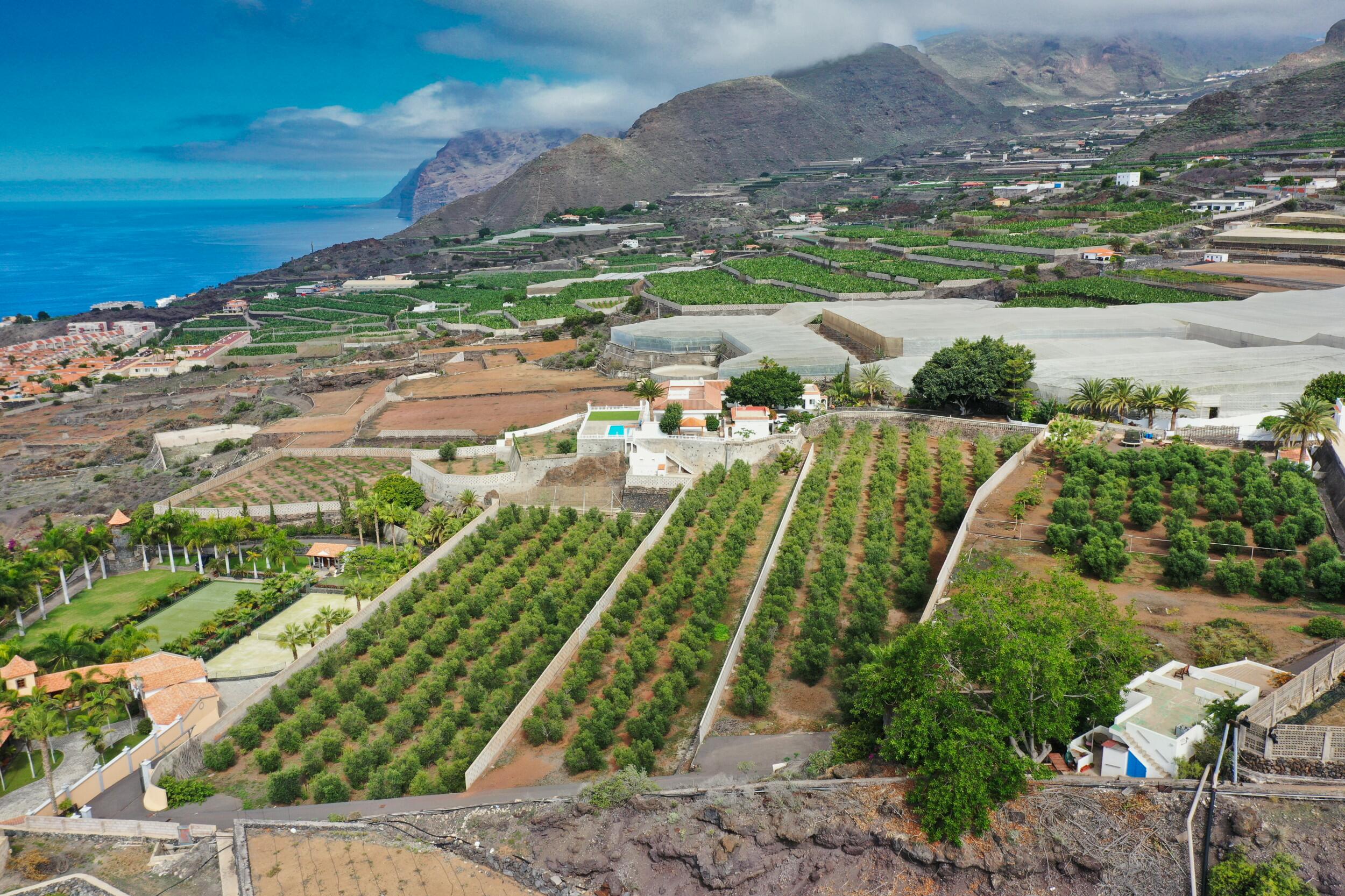 Finca La Caldera — 2/12
