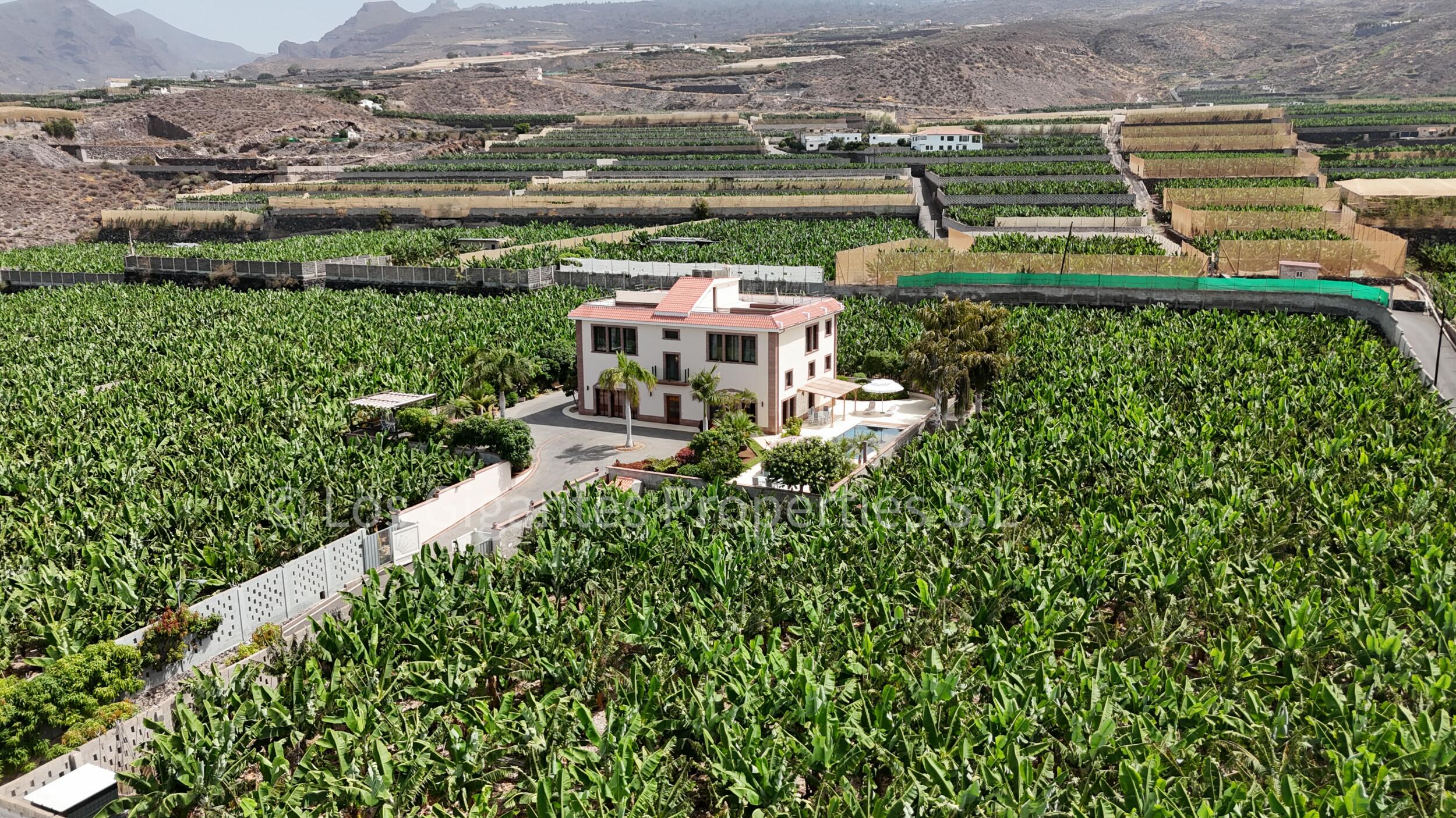 Finca de lujo en Alcalá — 6/12